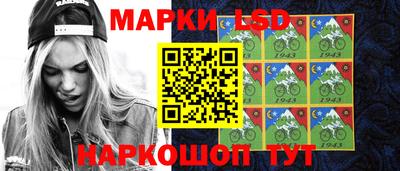 прущие грибы Гатчина