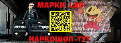 прущие грибы Гатчина