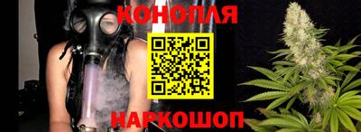 прущие грибы Гатчина