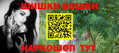 прущие грибы Гатчина