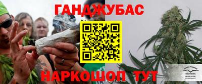 мдпв Гай