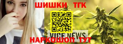 прущие грибы Гатчина
