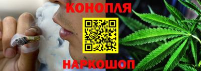 прущие грибы Гатчина