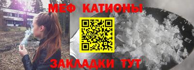 прущие грибы Гатчина