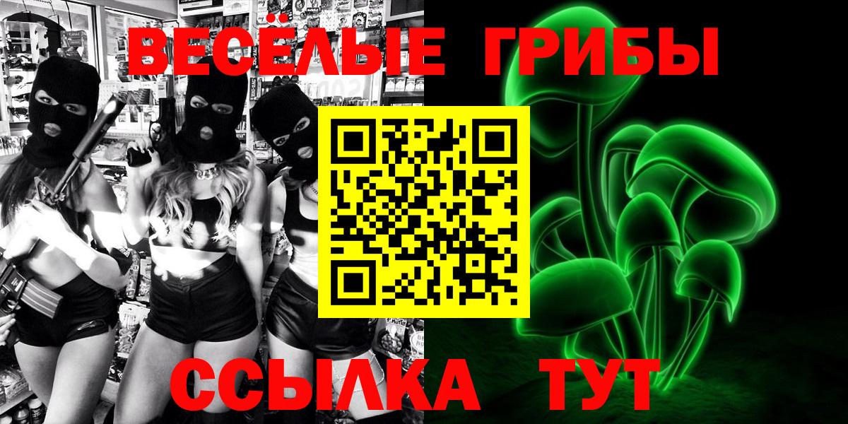 Алатырь  Псилоцибиновые грибы ЛСД  Вход с VPN  Псилоцибиновые грибы Cubensis 