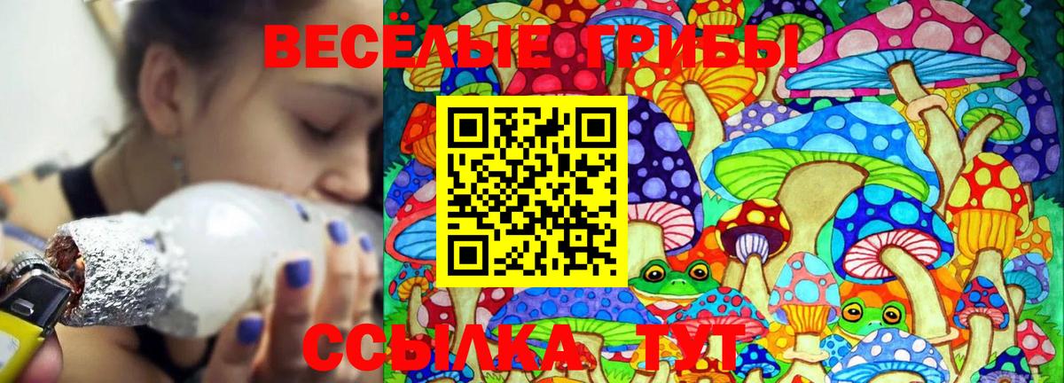 Галлюциногенные грибы Psilocybine cubensis  Галлюциногенные грибы Psilocybine cubensis  купить наркоту  Алатырь 