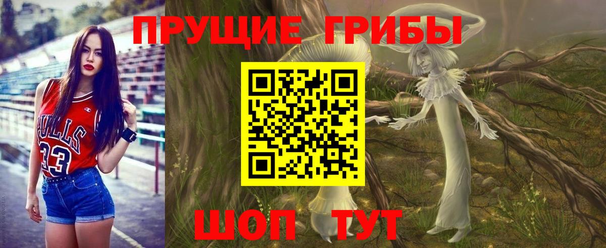 Псилоцибиновые грибы GOLDEN TEACHER Алатырь
