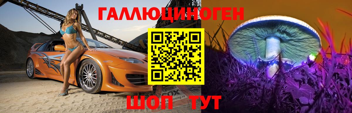 Псилоцибиновые грибы MAGIC MUSHROOMS Алатырь